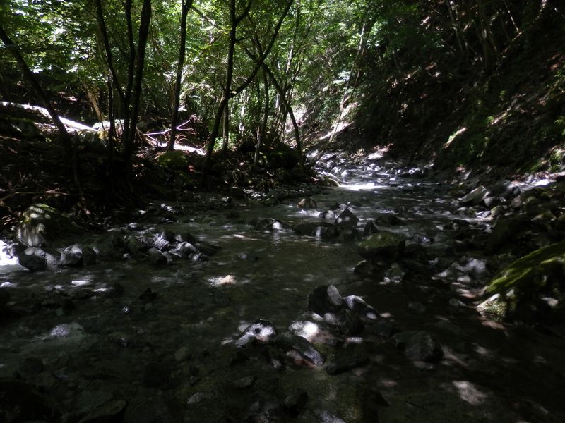 気持ちよく渡渉