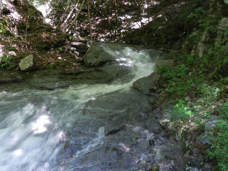 大滝沢左岸をぎりぎり通過