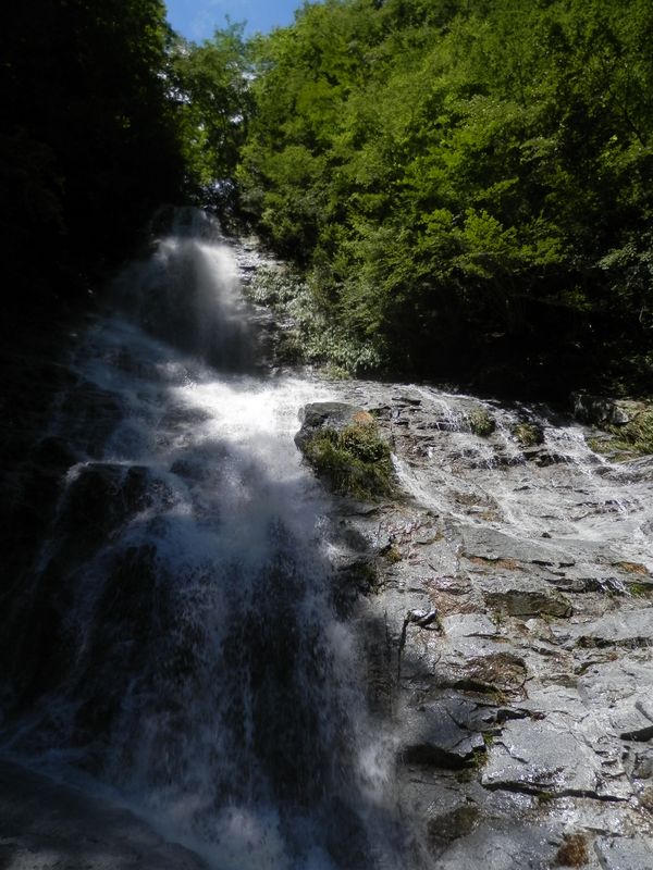 地獄棚を縦位置で