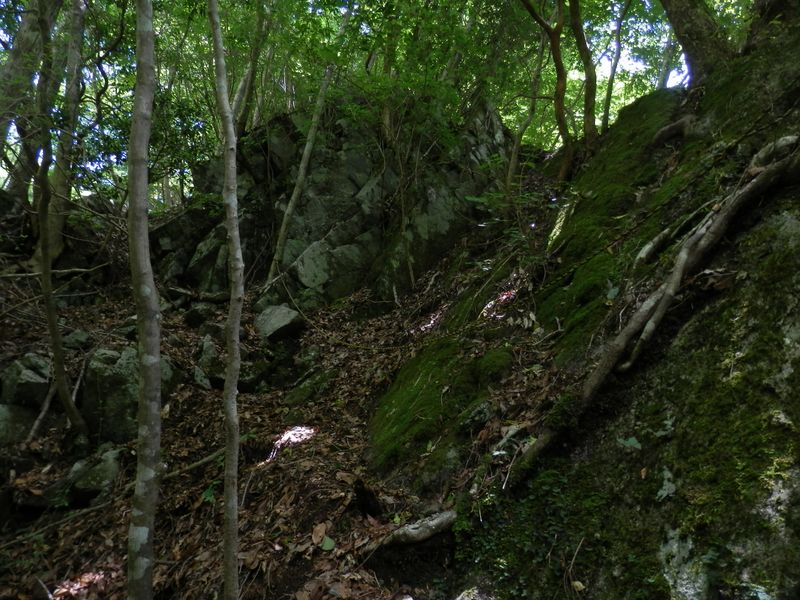 鬼石沢の左岸尾根を登る