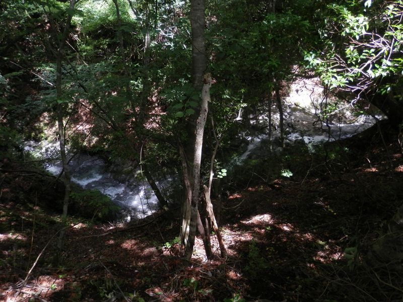 この谷はとても深い