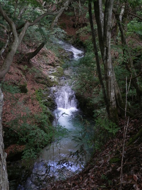 鬼石沢が美しい