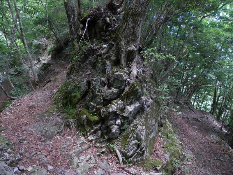 東海自然歩道に合流