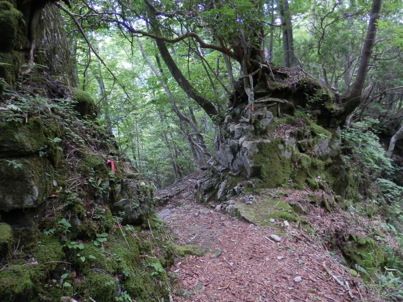 右の岩の左奥から来た