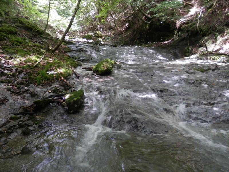 畦ヶ丸 -- 涼しいステタロー沢に、ちょっと下りてみる