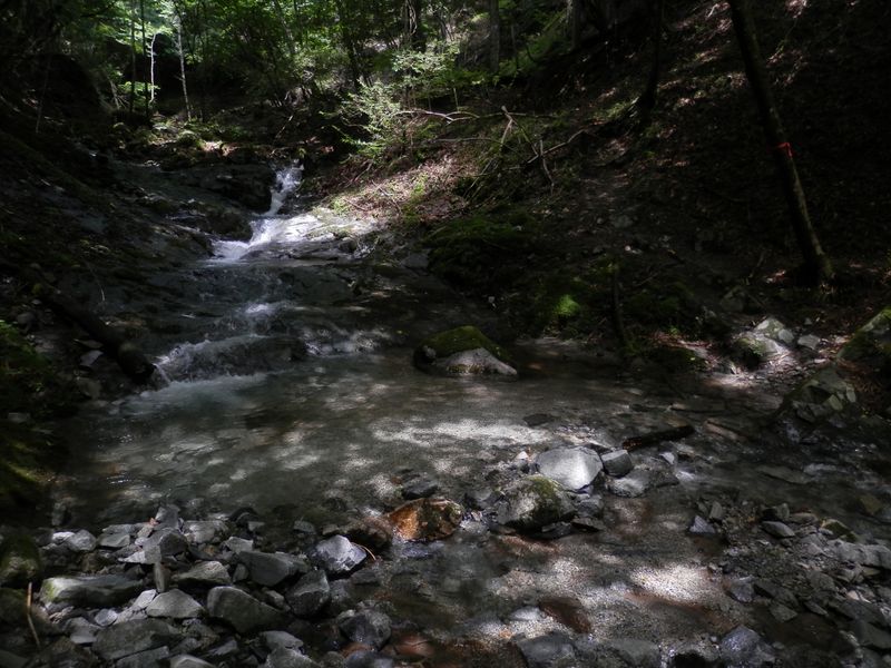  畦ヶ丸 -- ここは、石の上を簡単に渡る