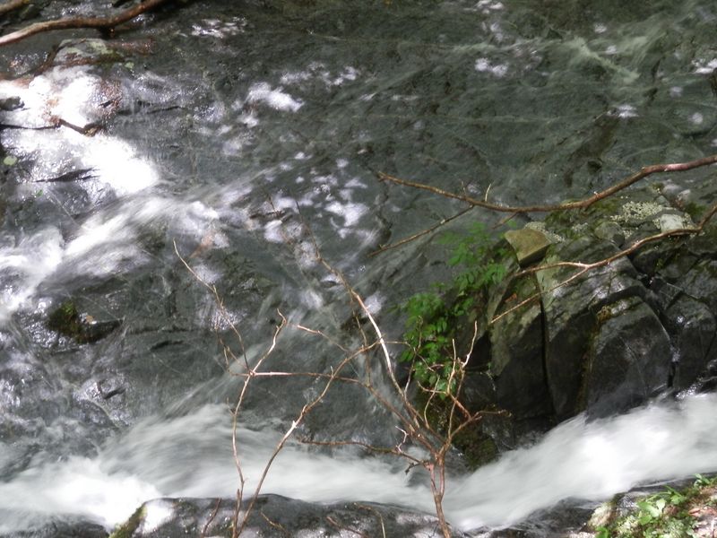 畦ヶ丸 -- 岩に白線が