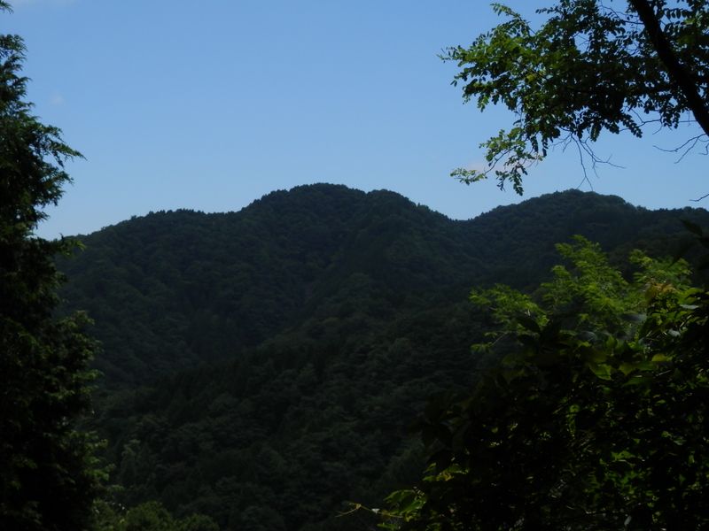 畦ヶ丸 -- あれは、甲相国境尾根だろうか？