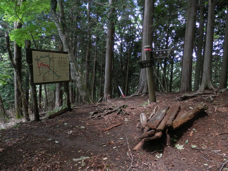大滝峠上に到着