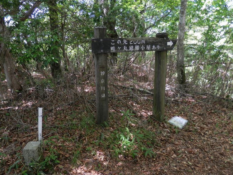 畦ヶ丸 -- この先200mが遠かった