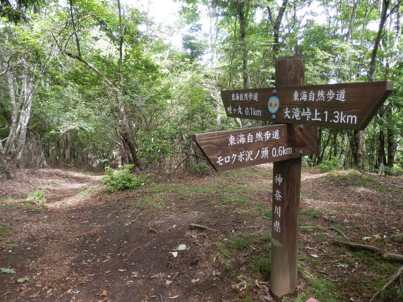避難小屋から畦ヶ丸山頂まで0.1km