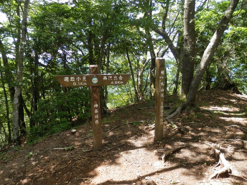ここが畦ヶ丸山頂