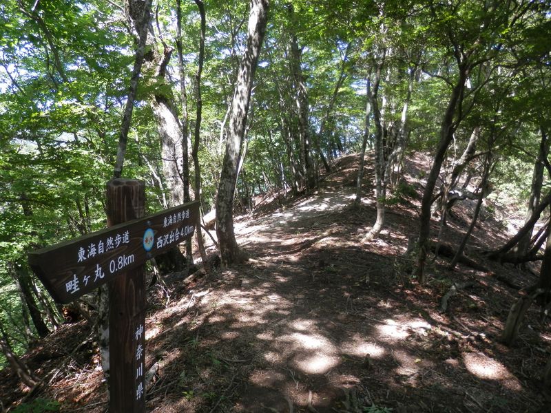 畦ヶ丸 -- きれいな道標が整備されている