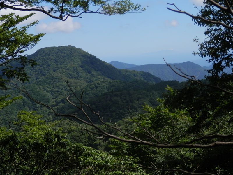 権現山と畦ヶ丸を結ぶ稜線