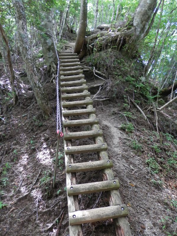 畦ヶ丸 -- 親切な階段は、転落防止のためか