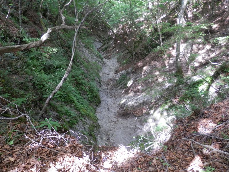 畦ヶ丸 -- ここに転落したら、ただでは済まない