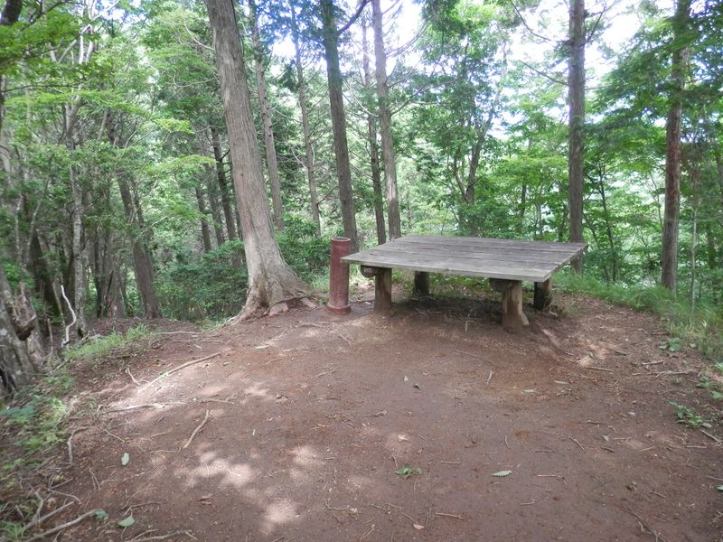 畦ヶ丸 -- 善六のタワの手前、素敵な休憩所