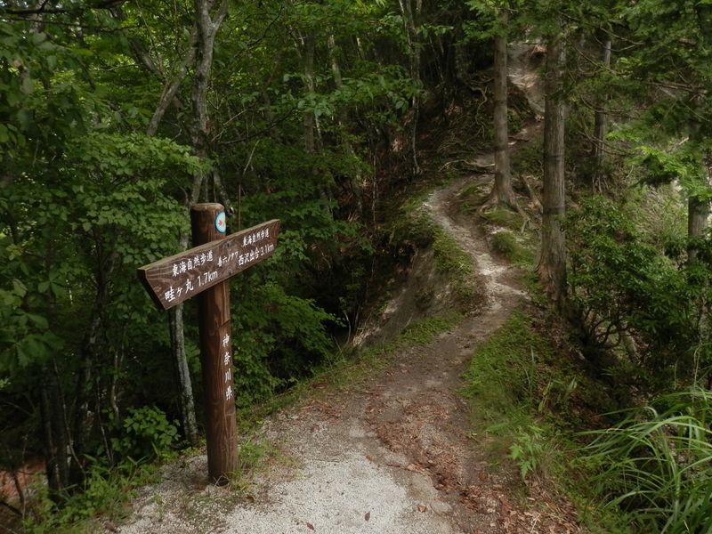 p7210555.jpg (large)