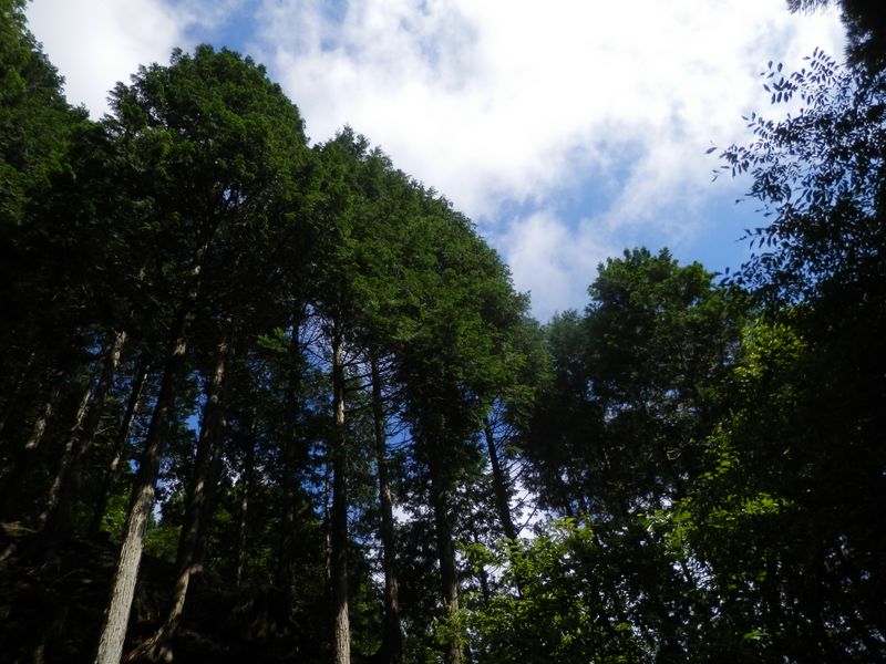 畦ヶ丸 -- ここは楽園のようだ