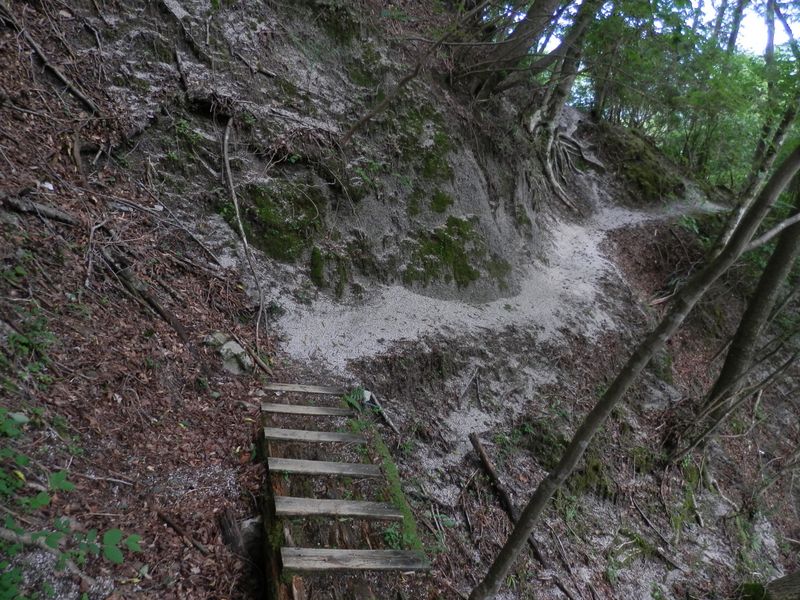 畦ヶ丸 -- きれいな道だけど、ザレに注意