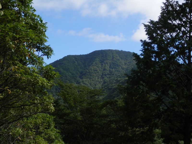 突如、目の前に権現山
