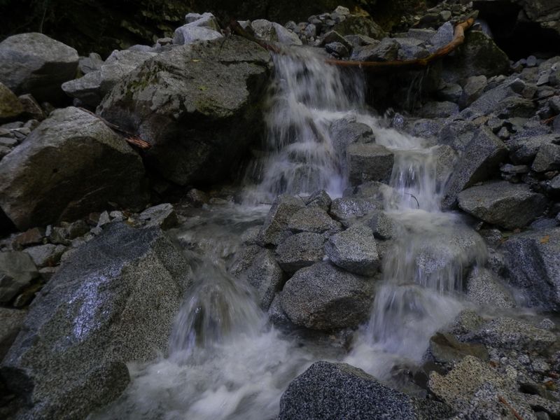 畦ヶ丸 -- 再び沢すじを歩く