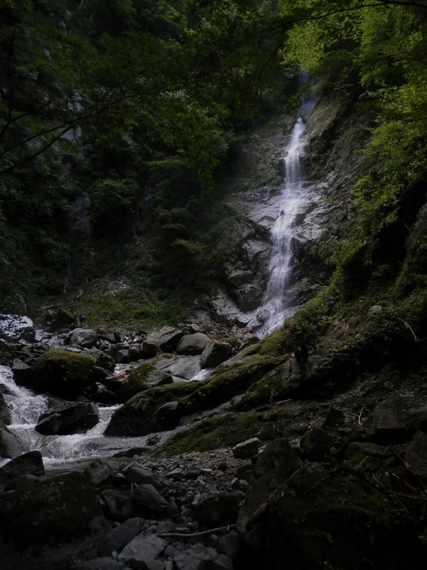 本棚の向かいの涸棚