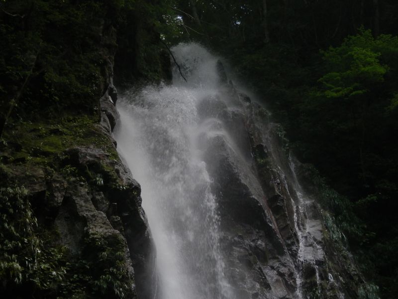 本棚の上部（下から見て）