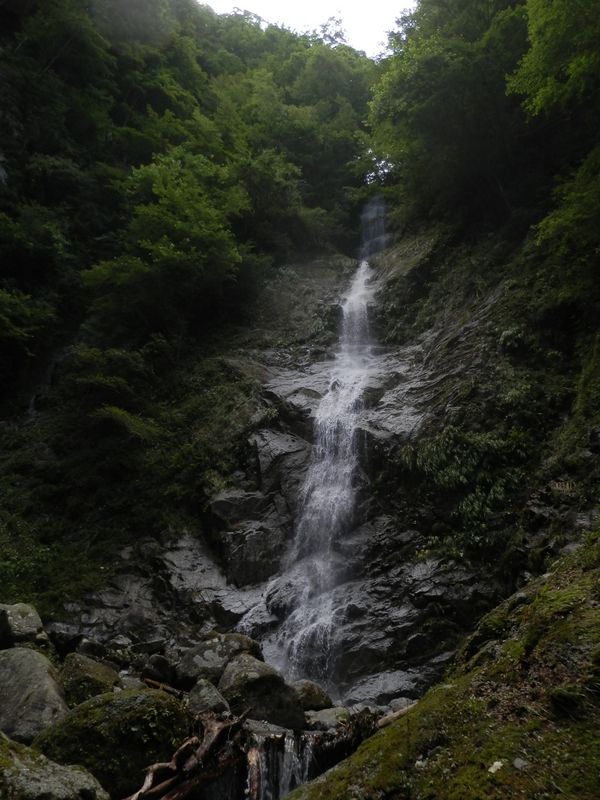 本棚の向かいの涸棚