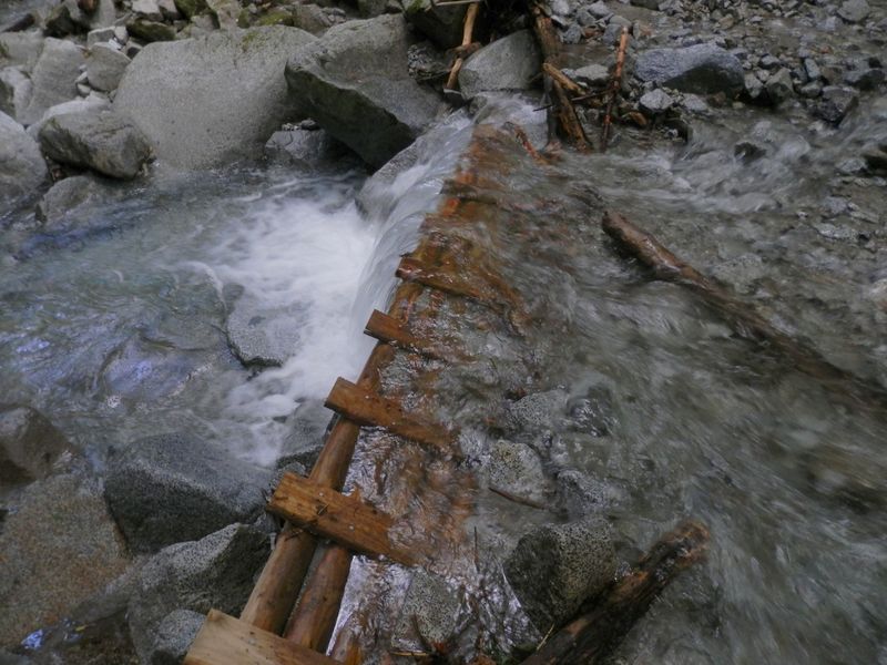 西沢 -- この木橋は、まだ被害が少ない