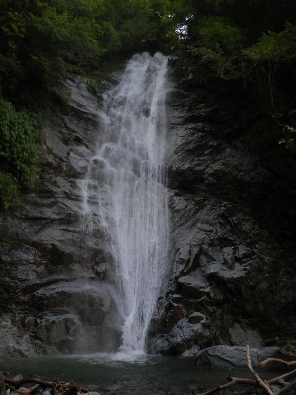 豪快さと優美さをもつ下棚