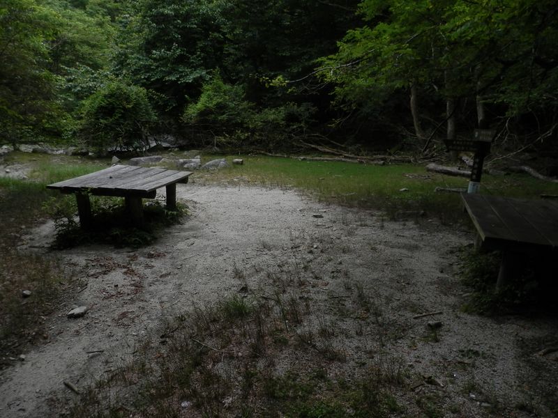 緑地風の休憩所を通過