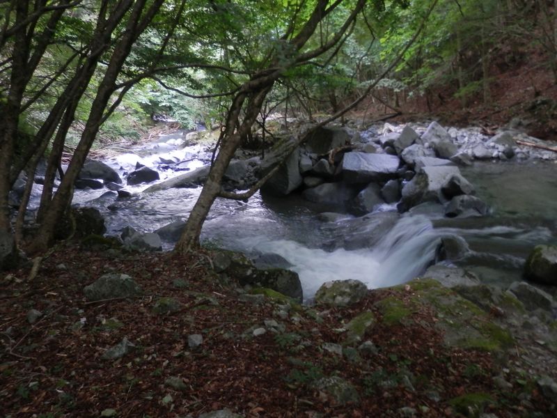 岩石園のように美しい風景
