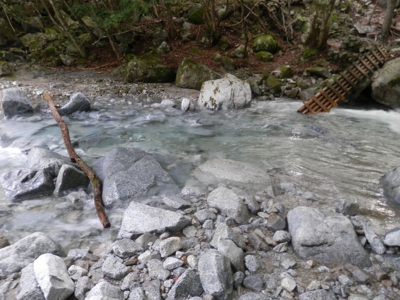 左の流木に沿うように渡渉した