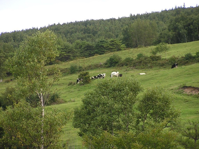 四阿山 -- 菅平牧場