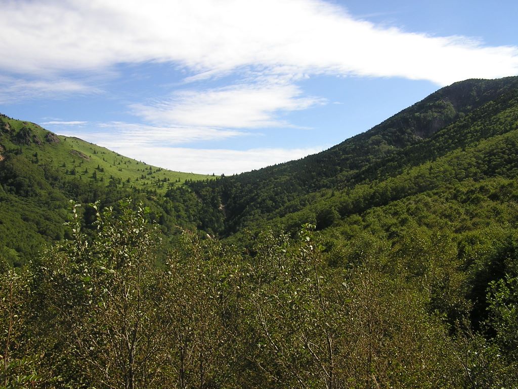 四阿山 -- 四阿山（右）と根子岳（左）を結ぶ稜線