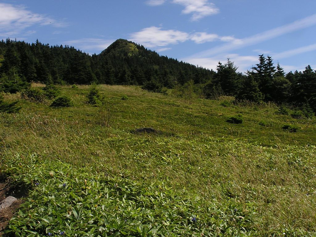 四阿山 -- 四阿山頂が見えてきた