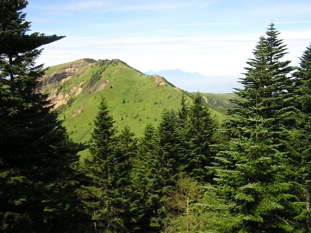 四阿山 -- 四阿山を下るほどに、根子岳が競り上がる