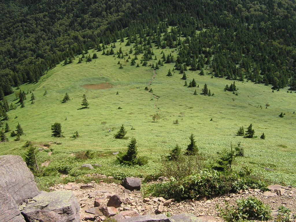 四阿山 -- 大スキマを振り返る