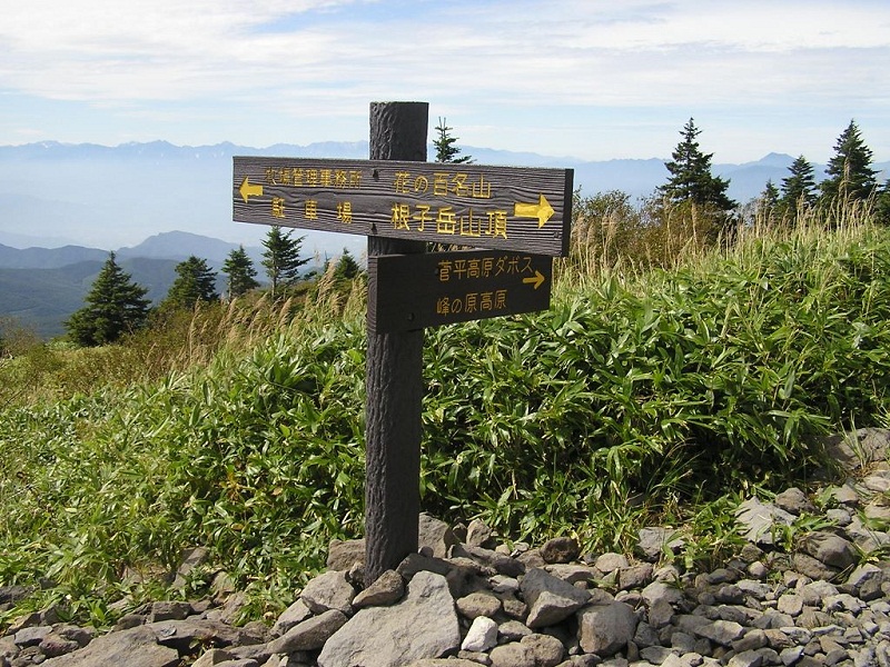 四阿山 -- 根子岳山頂の分岐