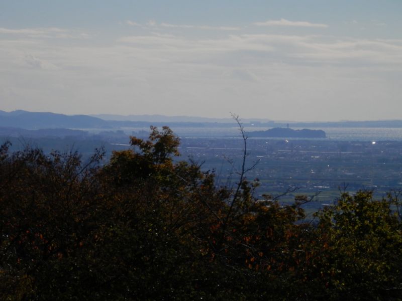 日向薬師梅林付近より、江ノ島を望む