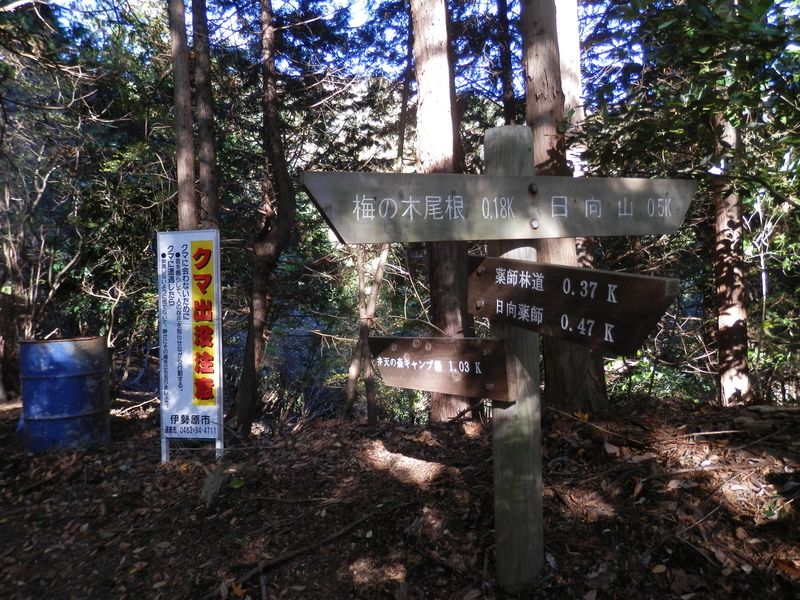 梅ノ木尾根に進む