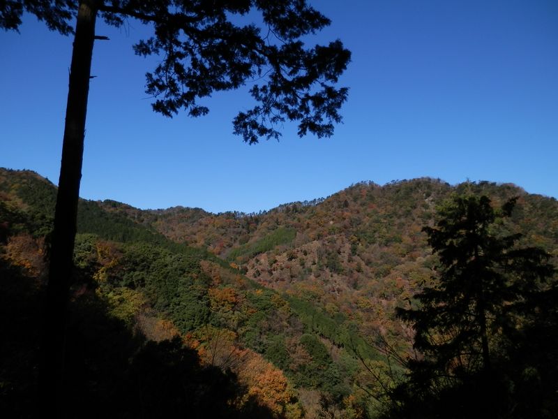 梅ノ木尾根より、弁天御髪尾根を望む