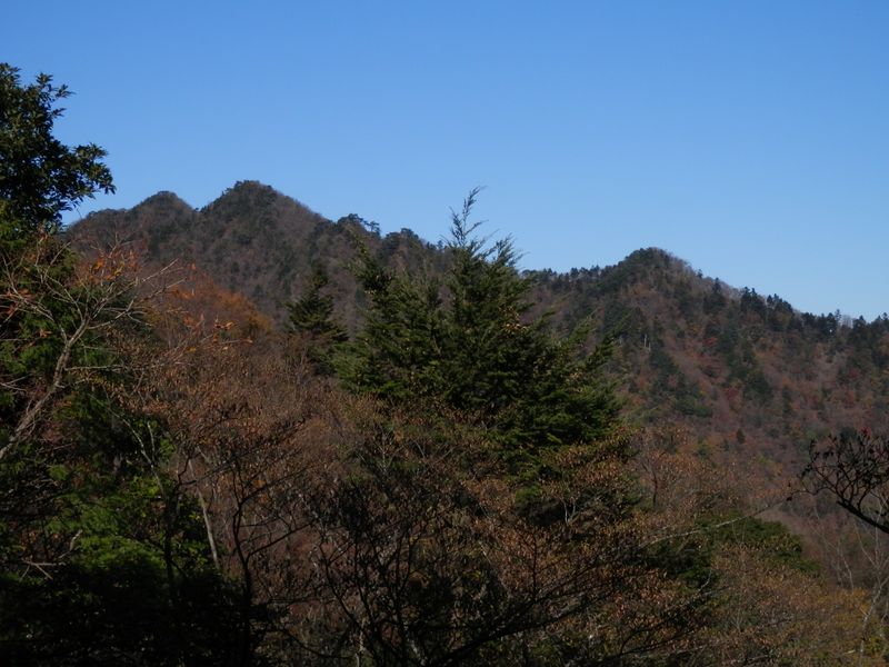 梅ノ木尾根より、大山三峰山を望む