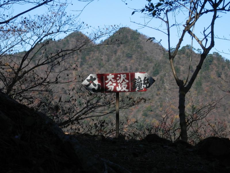 大沢分岐で梅ノ木尾根と別れる