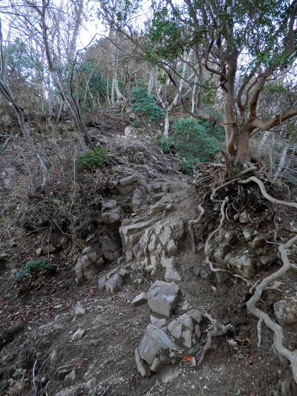 ミニ岩場を振り返る