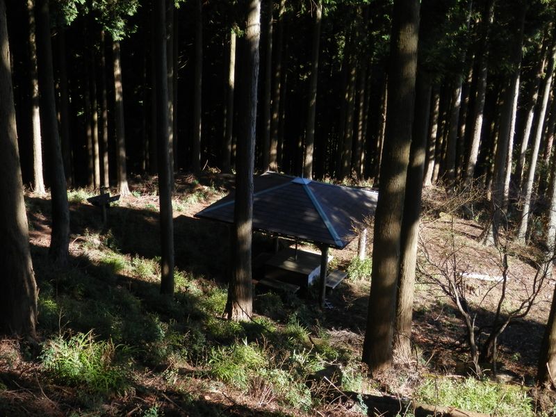 巨木の森分岐の東屋