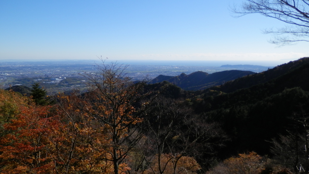 黒っぽい梅ノ木尾根