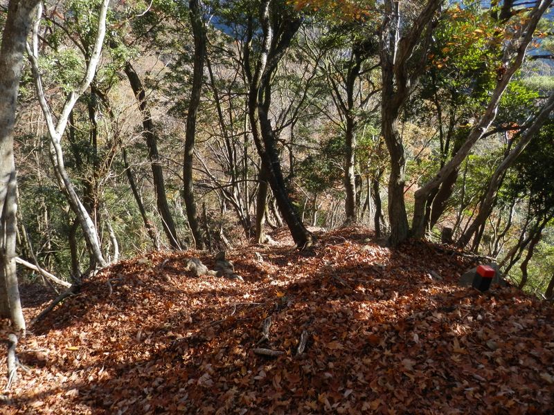 見晴広場Ｂから、急な下りが長く続く