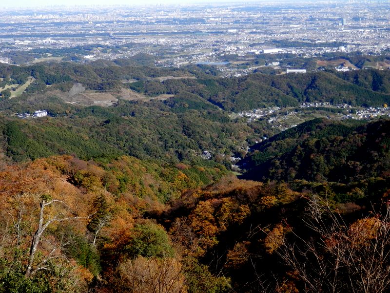 上弁天より、七沢温泉郷を望む